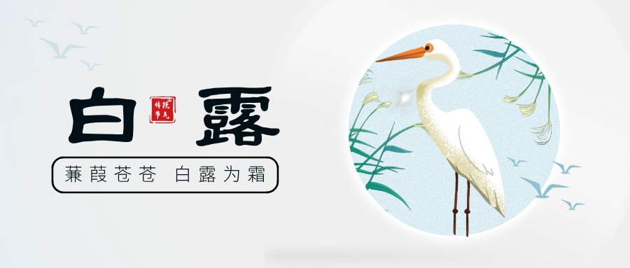 一夜秋風(fēng)至,白露曉生寒